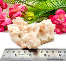 Halite on Trona Mineral Specimen (California)