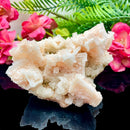Halite on Trona Mineral Specimen (California)