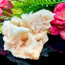 Halite on Trona Mineral Specimen (California)