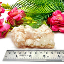 Halite on Trona Mineral Specimen (California)