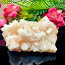 Halite on Trona Mineral Specimen (California)