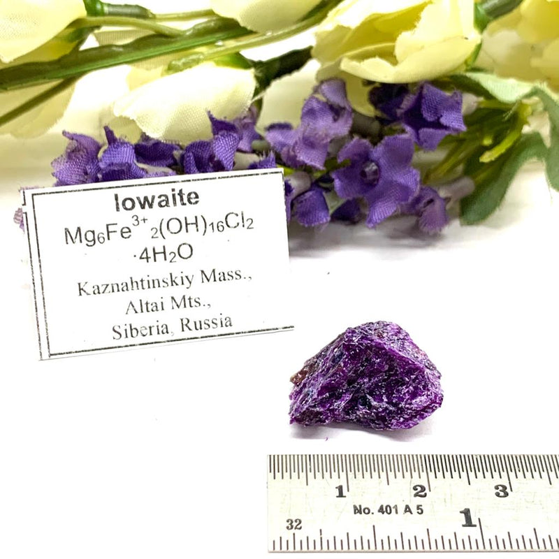 Iowaite Mineral Specimen