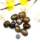 Bronzite Tumble (Removes Self Doubt)