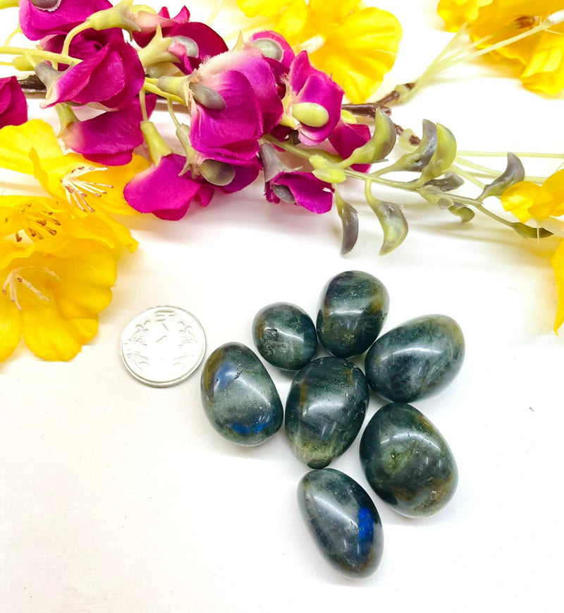 Labradorite Tumble (Spiritual Awakening & Transformation)