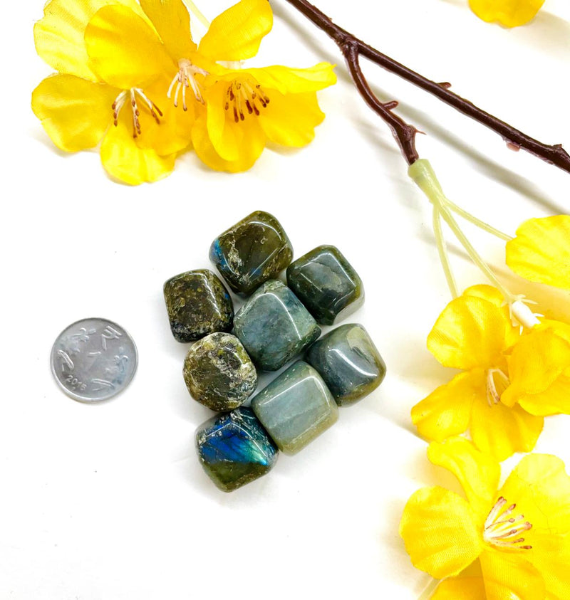 Labradorite Tumble (Spiritual Awakening & Transformation)