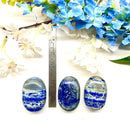 Lapis Lazuli Palmstone (Wise and Honest Communication)
