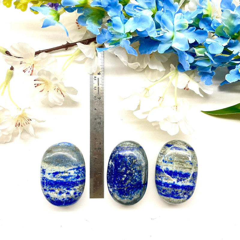 Lapis Lazuli Palmstone (Wise and Honest Communication)