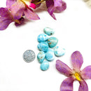 Larimar Tumbles (Loving Communication & Divine Feminine)