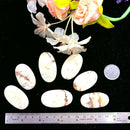 Lemon Chrysoprase Cabochon (Self Love & Self Esteem)