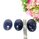 Lepidolite Palmstone