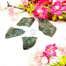 Mary Ellen Jasper Rough (Resilience & Manifestation)