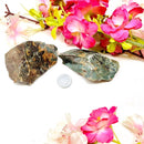 Mary Ellen Jasper Rough (Resilience & Manifestation)