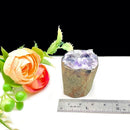Mini Amethyst Druzy Flower Cavity (Spiritual Knowledge & Wisdom)