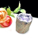 Mini Amethyst Druzy Flower Cavity (Spiritual Knowledge & Wisdom)