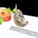 Mini Amethyst Druzy Flower Cavity (Spiritual Knowledge & Wisdom)