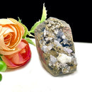 Mini Amethyst Druzy Flower Cavity (Spiritual Knowledge & Wisdom)