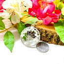 Moonstone Pendants (Feminine & Emotional Balance)