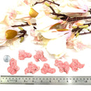 Argentina Rhodochrosite Multi Circular Slices (Self Love)