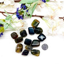 Multi Fluorite Tumble (Mental clarity and Learning)