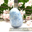 Blue Calcite Free Forms