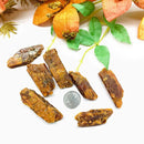 Orange Kyanite Rough (Being Playful & Positive)