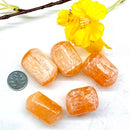 Orange Selenite Tumble (Peace and Creativity)