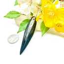 Orthoceras Polished Pendants (Financial Stability)