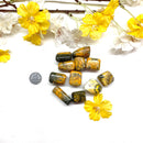 Bumble Bee Jasper Tumble (Positivity and Optimism)