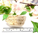 Phantom Quartz (Growth & Enlightenment)