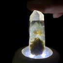 Phantom Quartz (Growth & Enlightenment)