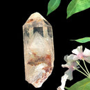 Phantom Quartz (Growth & Enlightenment)