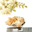 Pink Heulandite on Mordenite Cluster AAA (Heal Emotional Hurt)