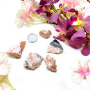 Pink Zebra Jasper Rough (Nurture & Generosity)