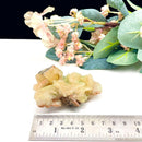 Powellite (Creativity & Perseverance)