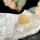 Powellite (Creativity & Perseverance)