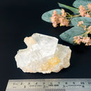 Powellite (Creativity & Perseverance)