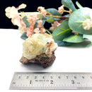 Powellite (Creativity & Perseverance)