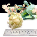 Powellite (Creativity & Perseverance)