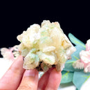 Powellite (Creativity & Perseverance)