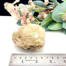 Powellite (Creativity & Perseverance)