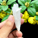 White Scolecite Blades (High Vibration & Transformation)