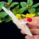 White Scolecite Blades (High Vibration & Transformation)