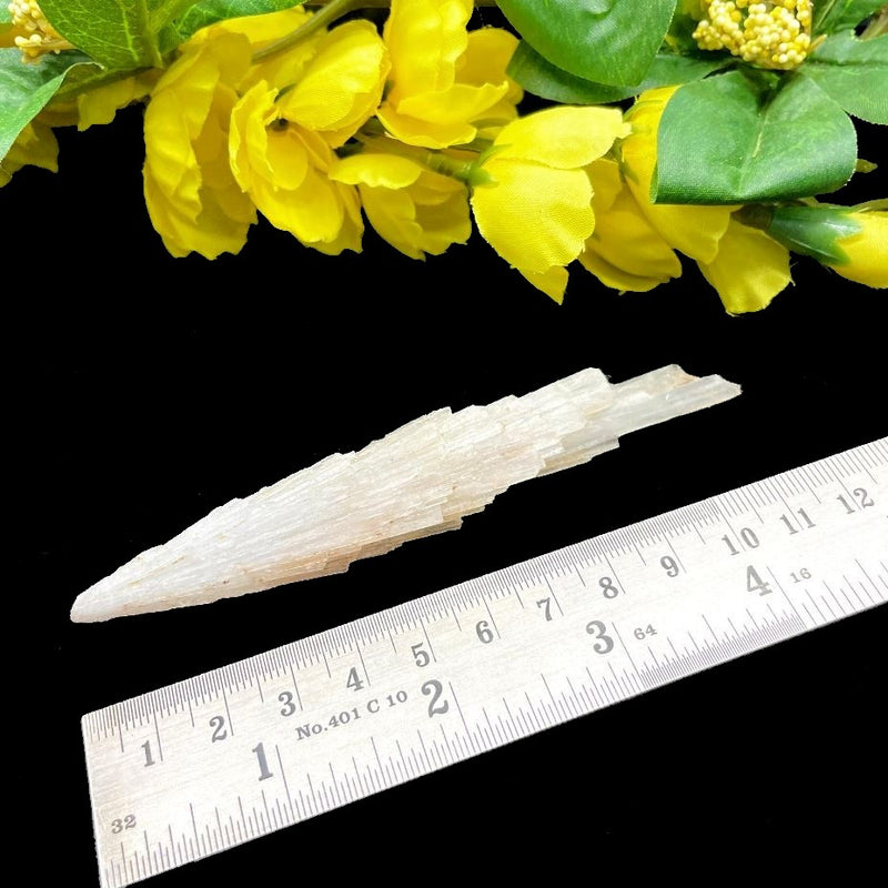 White Scolecite Blades (High Vibration & Transformation)