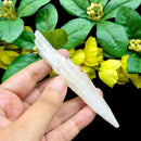 White Scolecite Blades (High Vibration & Transformation)