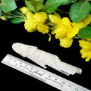 White Scolecite Blades (High Vibration & Transformation)