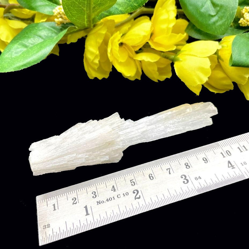White Scolecite Blades (High Vibration & Transformation)