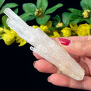 White Scolecite Blades (High Vibration & Transformation)