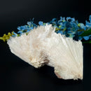 Scolecite Clusters (Peace & Transformation)