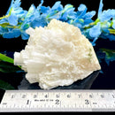 Scolecite Clusters (Peace & Transformation)