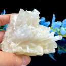 Scolecite Clusters (Peace & Transformation)